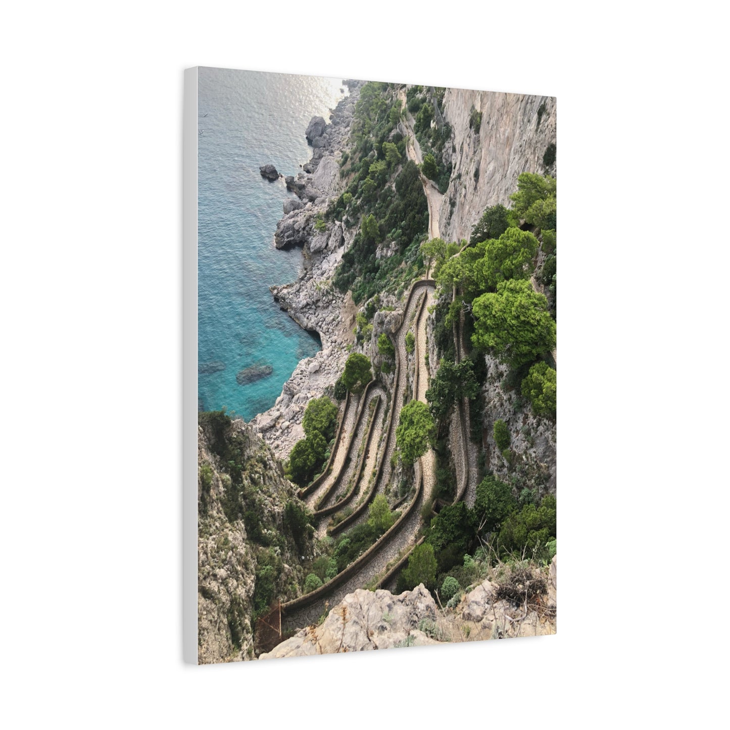 Via Krupp Pathway Capri, Italy Matte Canvas Print