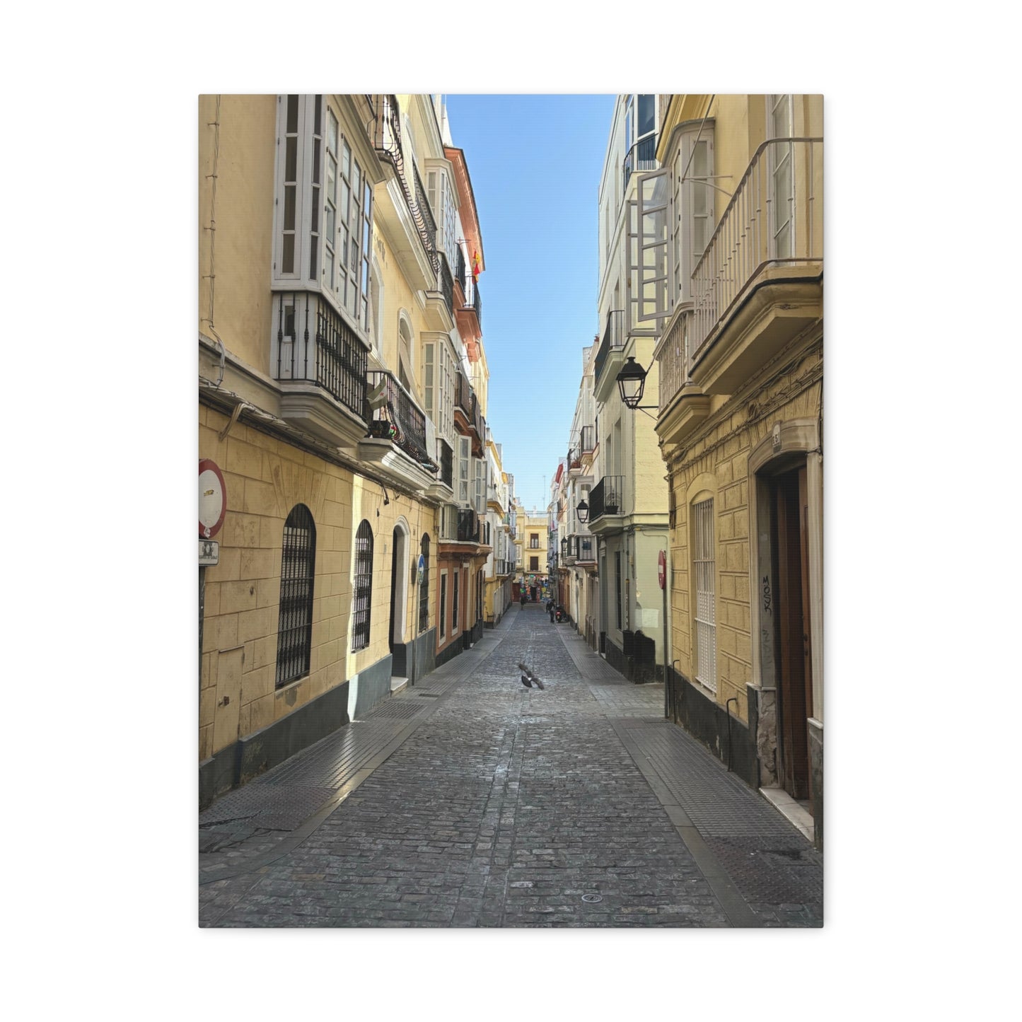 Cádiz Alleyway in Andalusia, Spain Matte Canvas Print