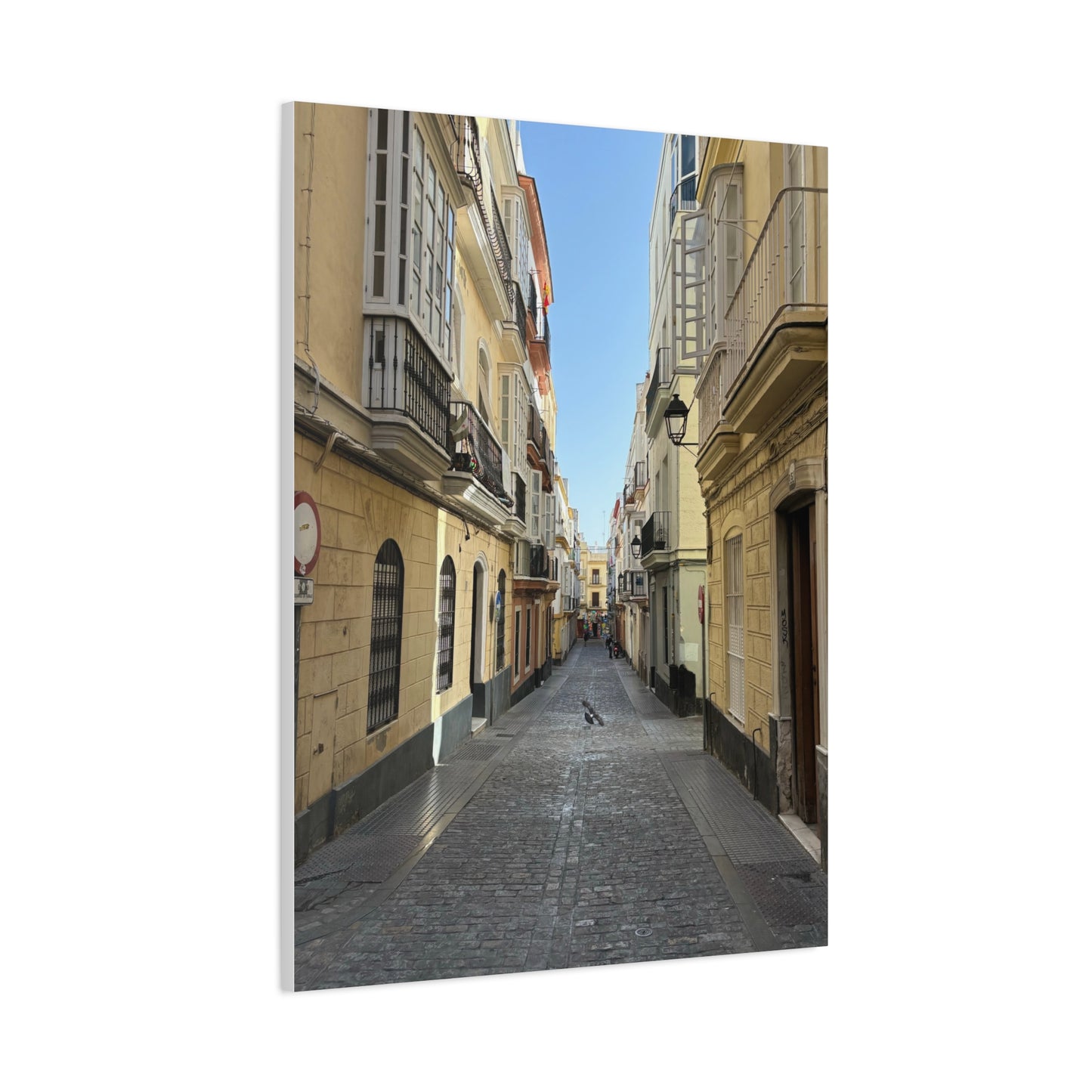 Cádiz Alleyway in Andalusia, Spain Matte Canvas Print