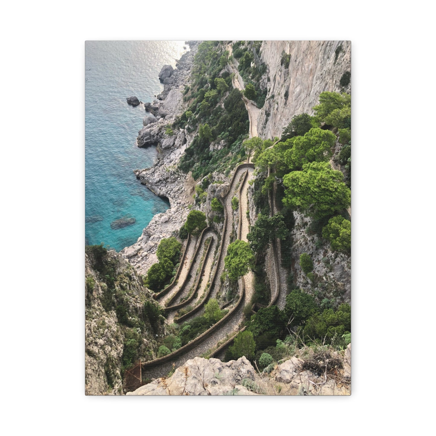 Via Krupp Pathway Capri, Italy Matte Canvas Print