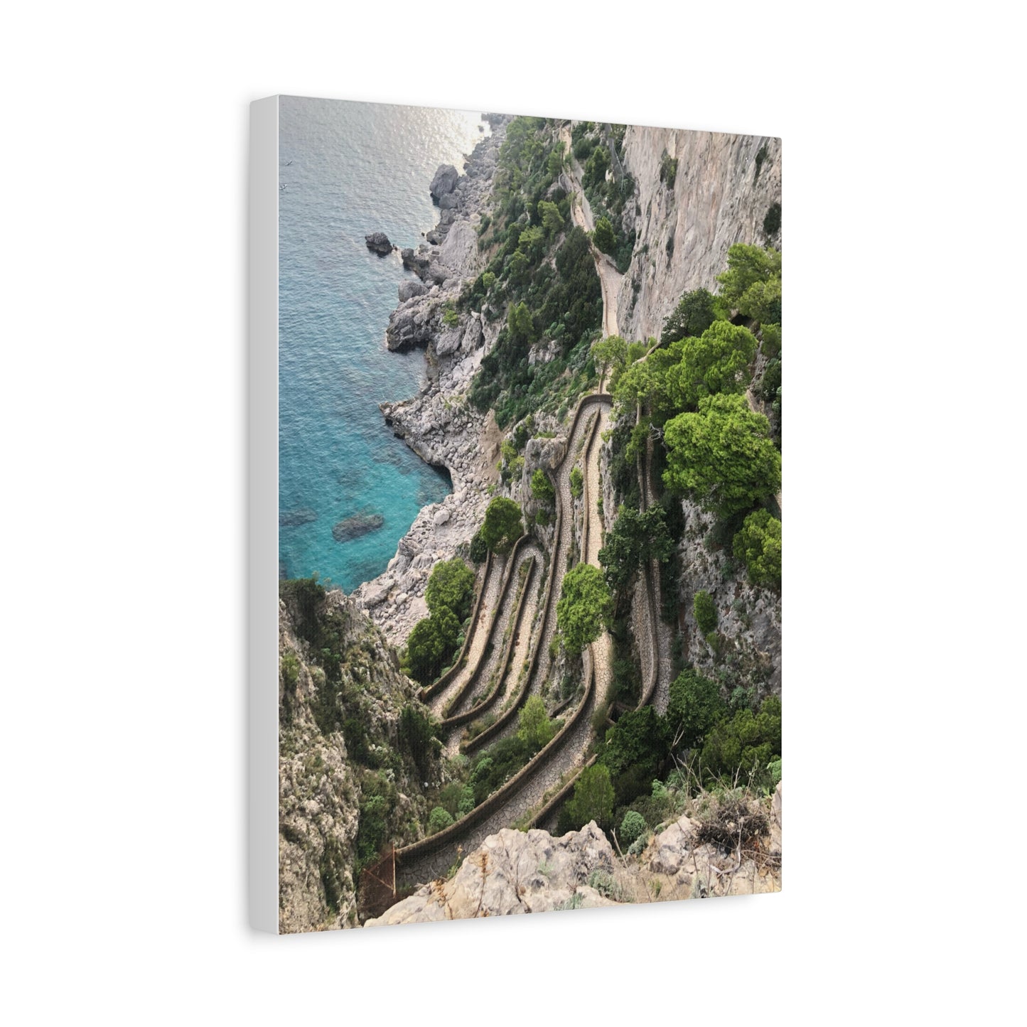 Via Krupp Pathway Capri, Italy Matte Canvas Print