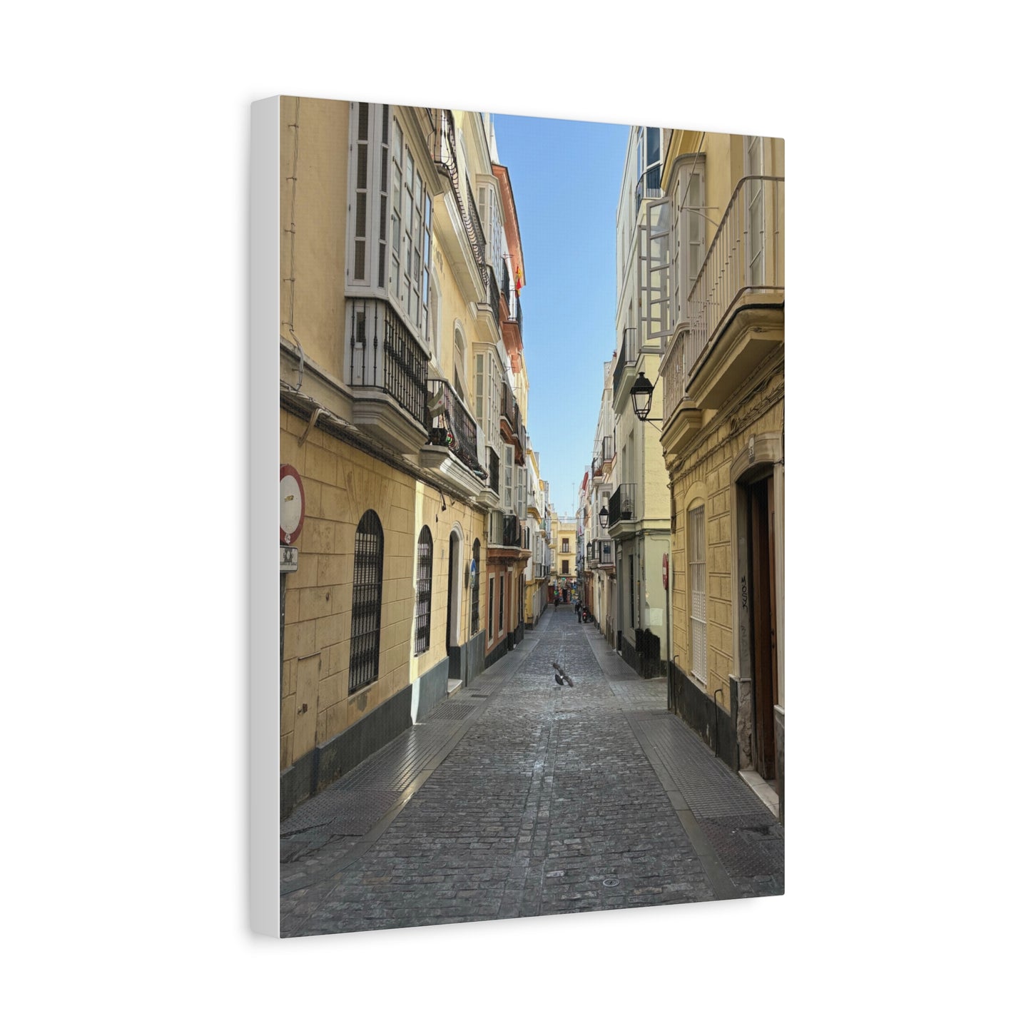 Cádiz Alleyway in Andalusia, Spain Matte Canvas Print